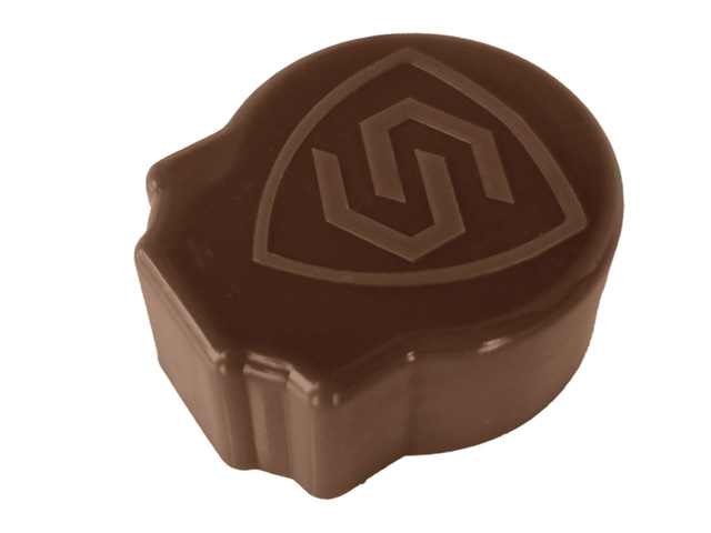 Chocolate cap for SECURIPOOL barrier post